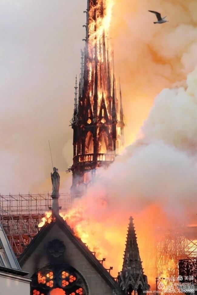 圣母院.jpg 圣母院.jpg